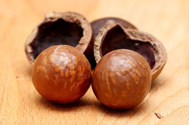 Орех макадамия – полезные свойства и противопоказания